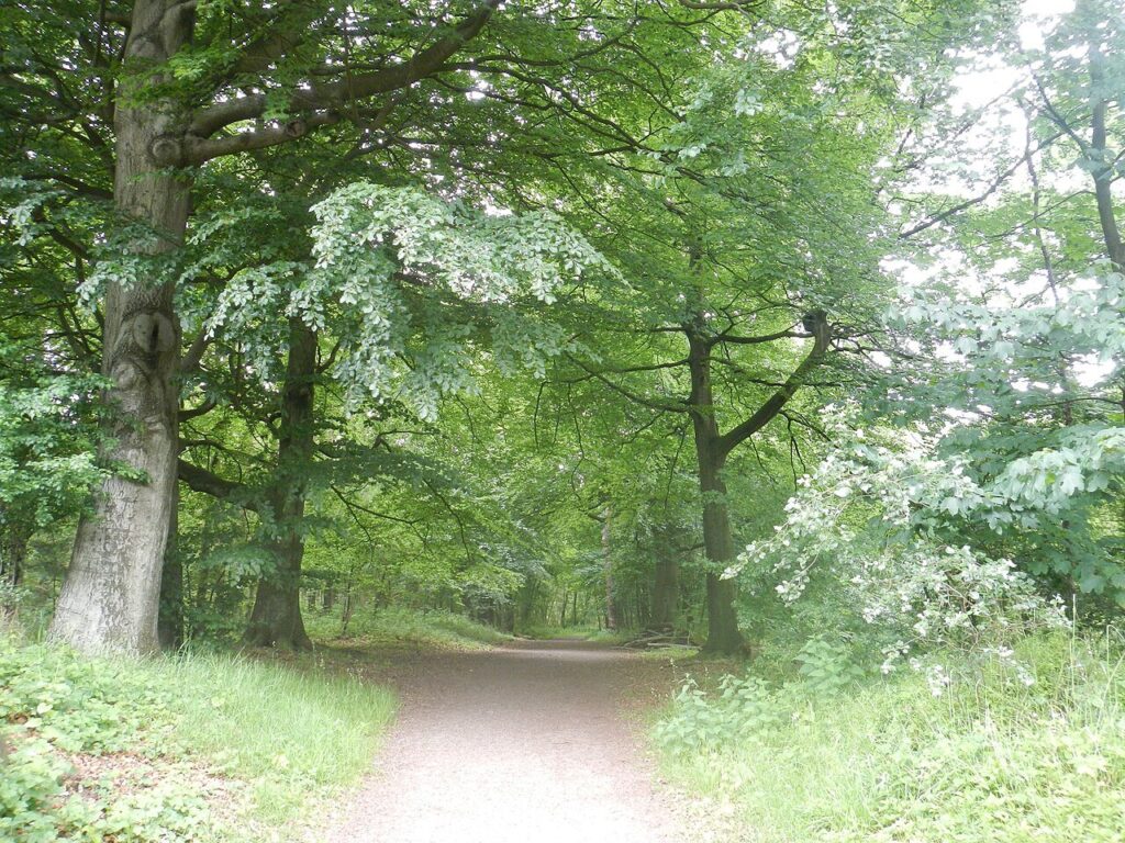 Kampeerweekend NGK in Zeewolde