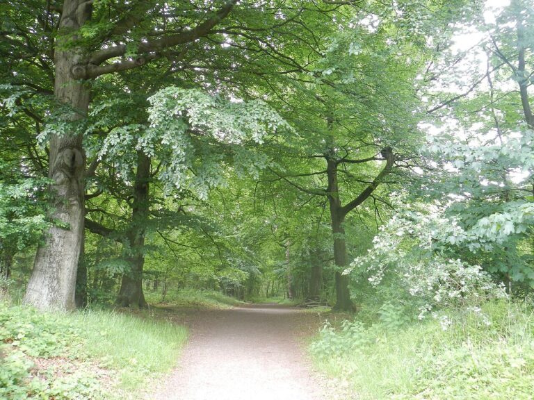 Appelplukdag — natuur in Zeewolde