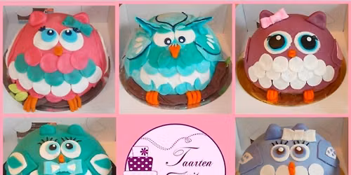 Taartworkshop uiljes 🦉😍 in Zeewolde